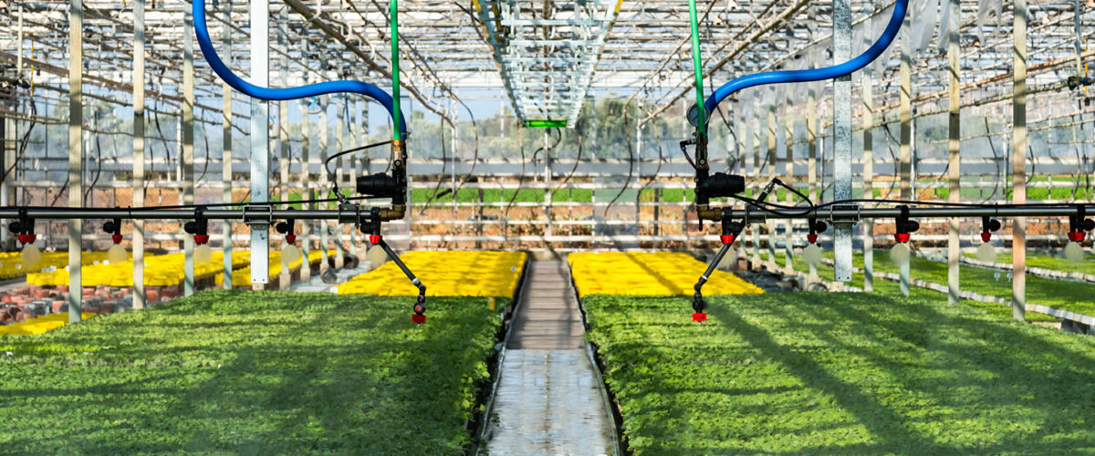 interior_2-green-plants-mimikos